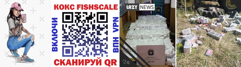 mega маркетплейс Велиж Cocaine Эквадор как найти закладки