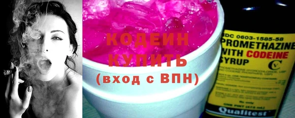 индика Беломорск