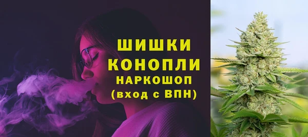 индика Беломорск