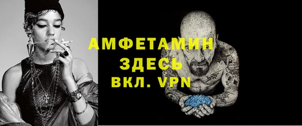 индика Беломорск