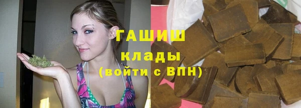 индика Беломорск