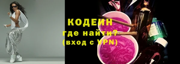 индика Беломорск
