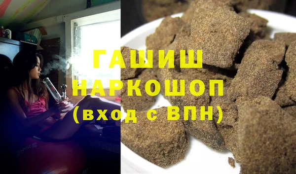 индика Беломорск