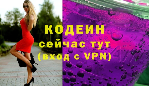 индика Беломорск