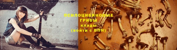 индика Беломорск
