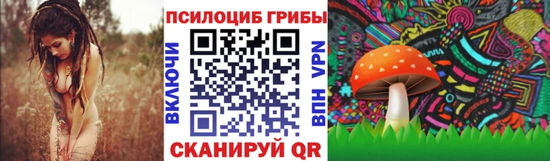 Галлюциногенные грибы Psilocybe  Велиж 